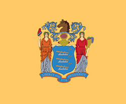 Colonial Flag of New Jersey