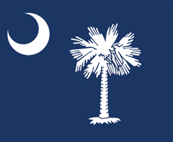 Colonial Flag of South Carolina